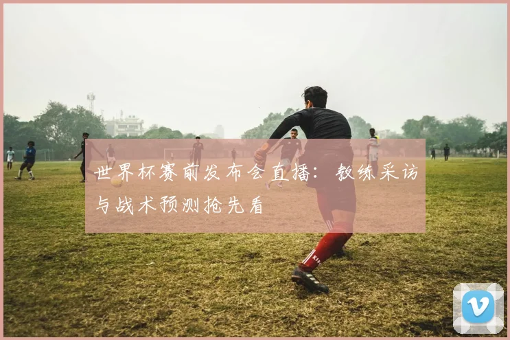 世界杯赛前发布会直播：教练采访与战术预测抢先看